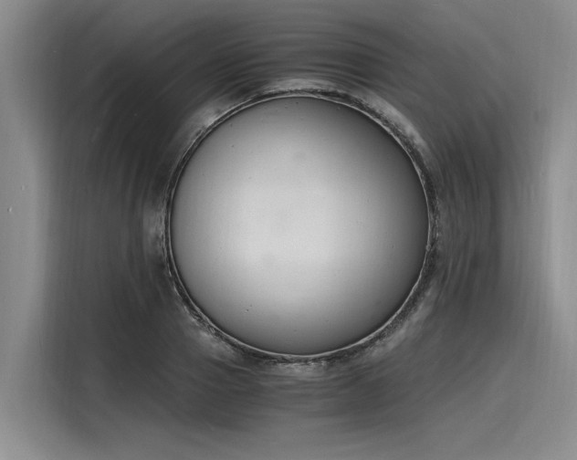 X0000116140937200911301518