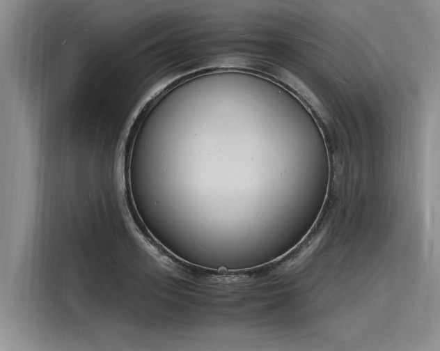 X0000116140939200911301518
