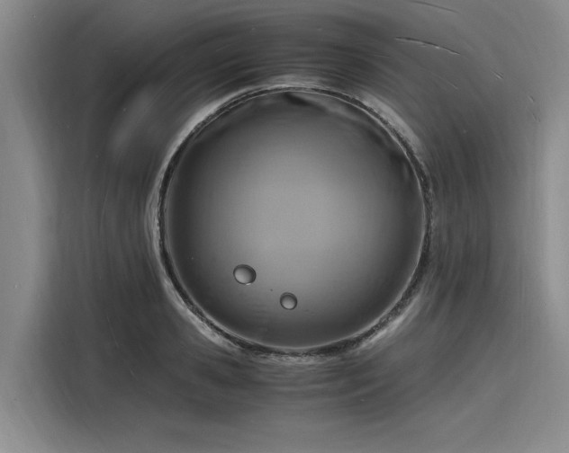 X0000116140941200911301518