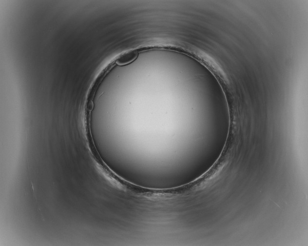 X0000116140942200911301518