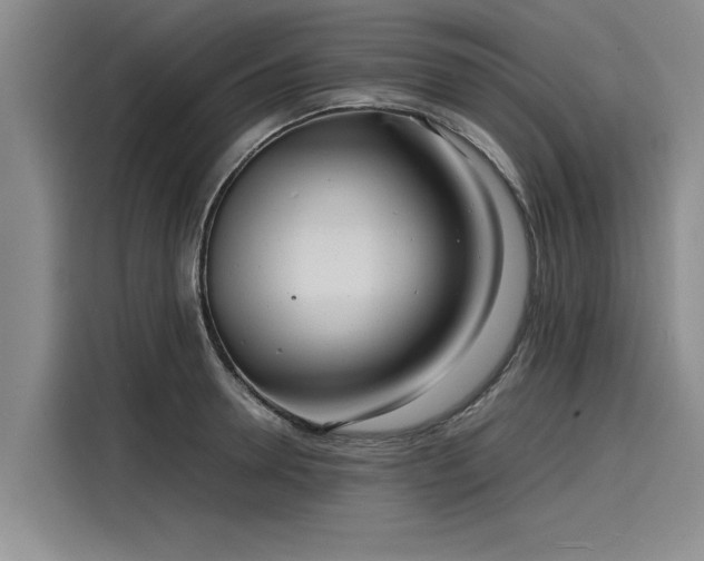 X0000116140946200911301518