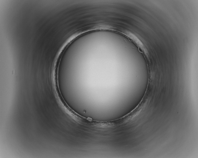 X0000116140947200911301518