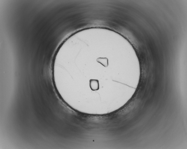 X0000116140950200911301518