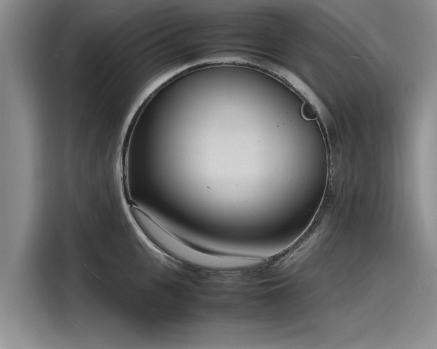 X0000116140951200911301518