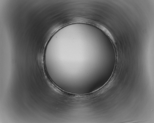 X0000116140954200911301518