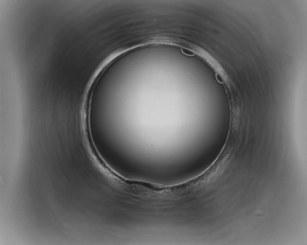 X0000116140955200911301518