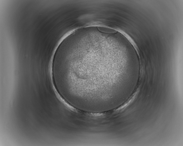 X0000116140957200911301518