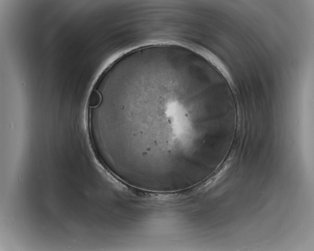 X0000116140958200911301518