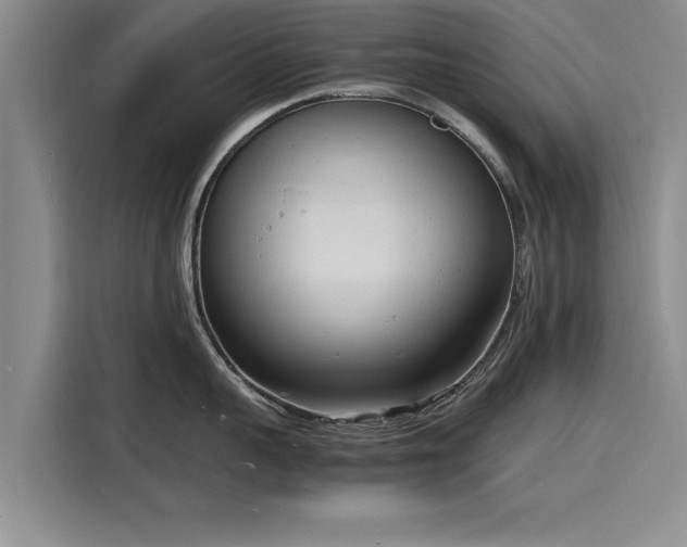 X0000116140959200911301518