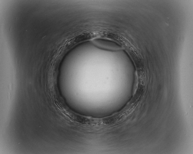 X0000116140961200911301517