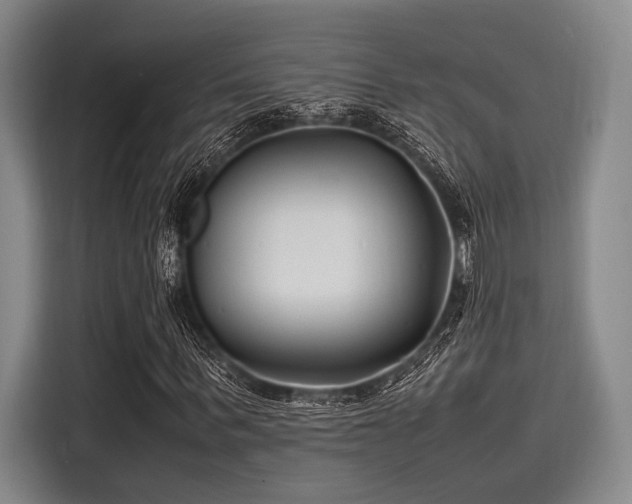 X0000116140963200911301517