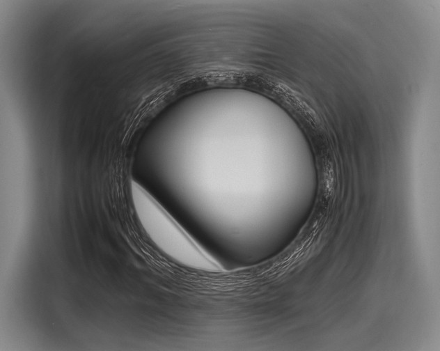 X0000116140964200911301517