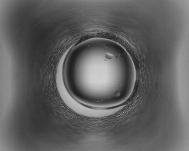 X0000116140965200911301517