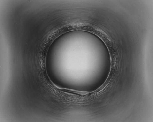 X0000116140966200911301517