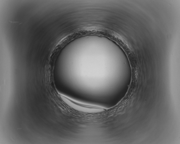 X0000116140968200911301517