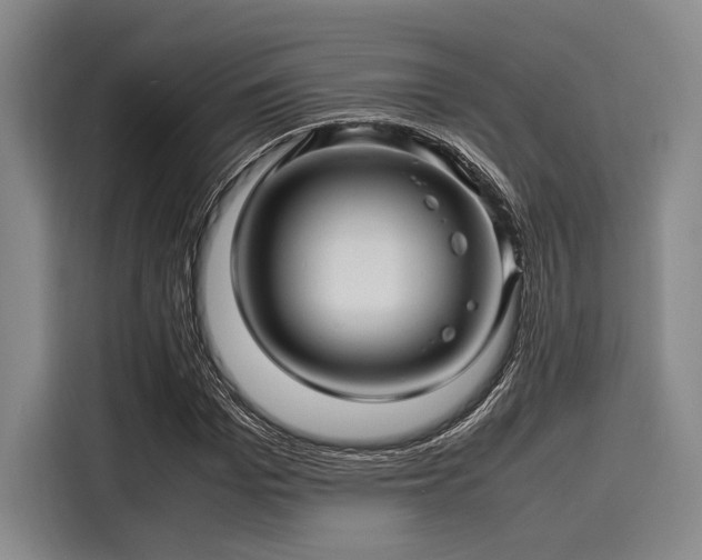 X0000116140969200911301517