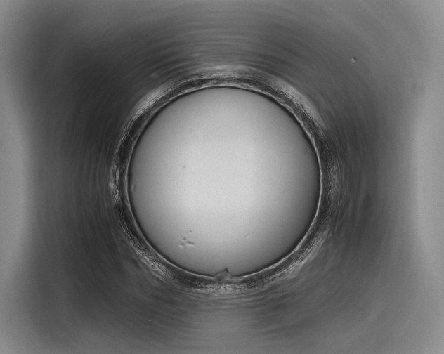 X0000116140970200911301517