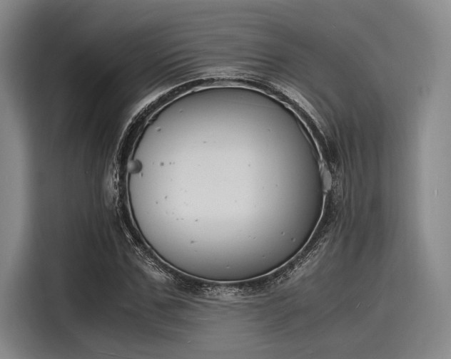 X0000116140971200911301517