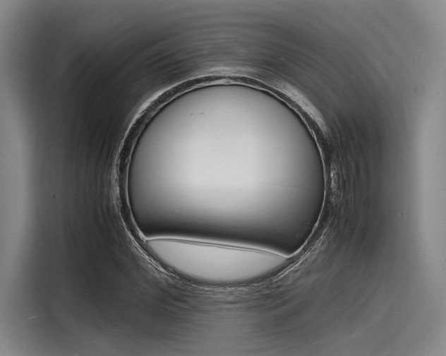 X0000116140972200911301517