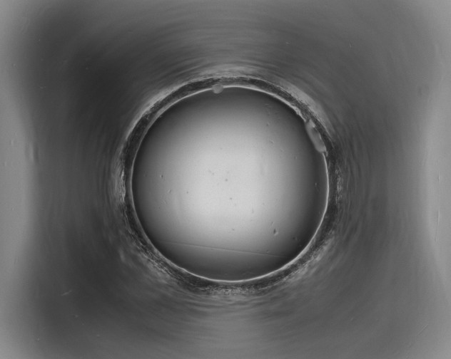 X0000116140973200911301517