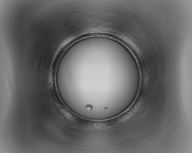 X0000116140974200911301517