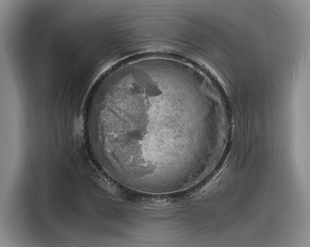 X0000116140975200911301517