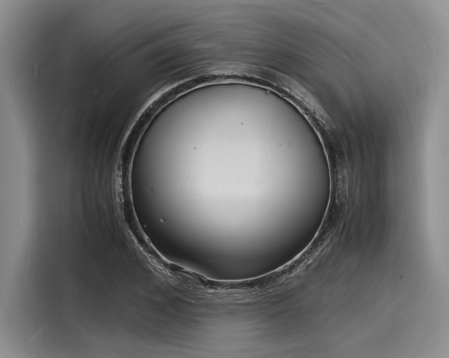 X0000116140976200911301517