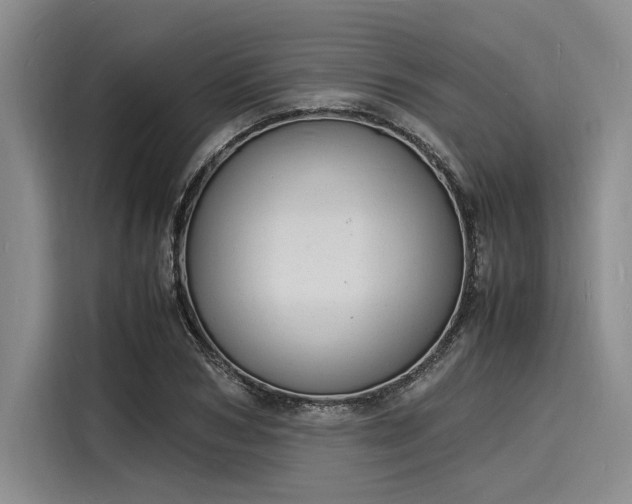 X0000116140978200911301517