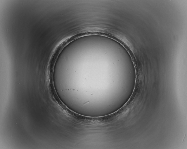 X0000116140979200911301517