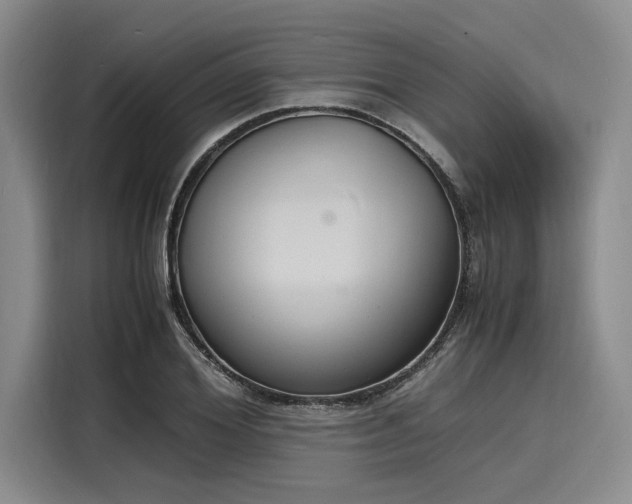 X0000116140980200911301517
