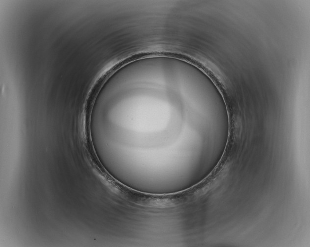 X0000116140982200911301517