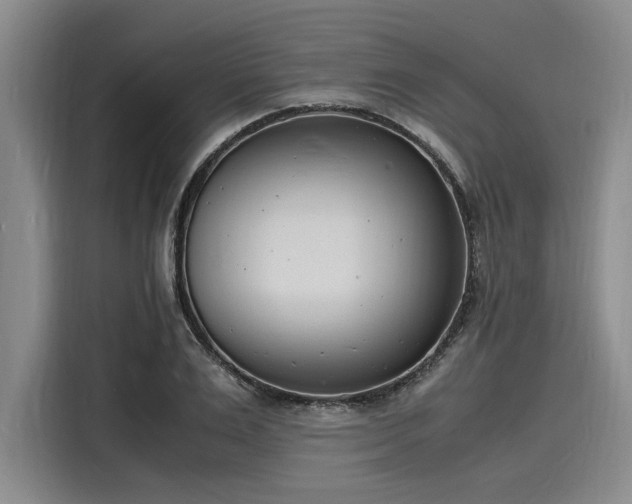 X0000116140983200911301517