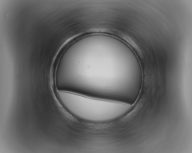 X0000116140984200911301517
