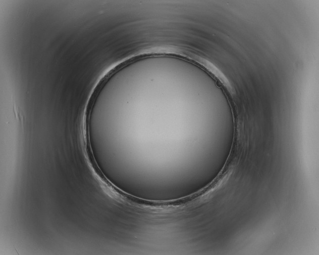 X0000116140988200911301517