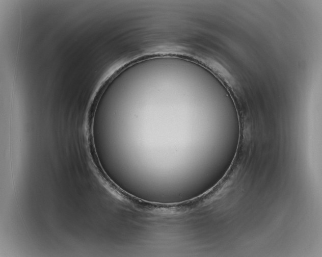 X0000116140990200911301517
