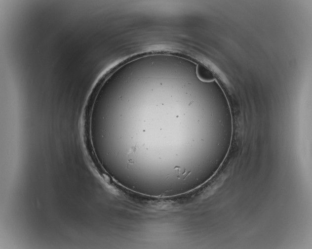 X0000116140991200911301517