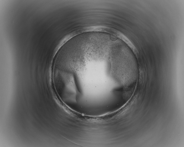 X0000116140994200911301517