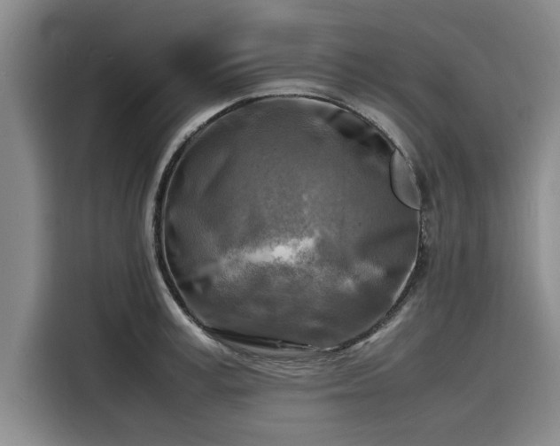 X0000116140995200911301517
