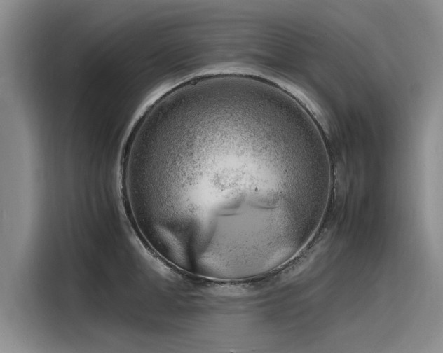X0000116140998200911301517