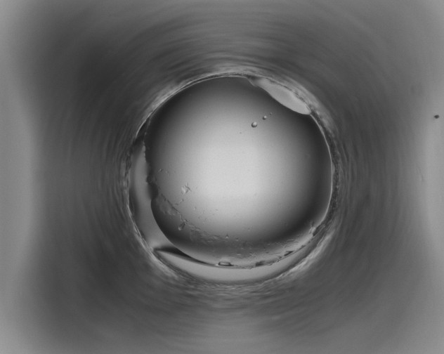 X0000116141001200911301517