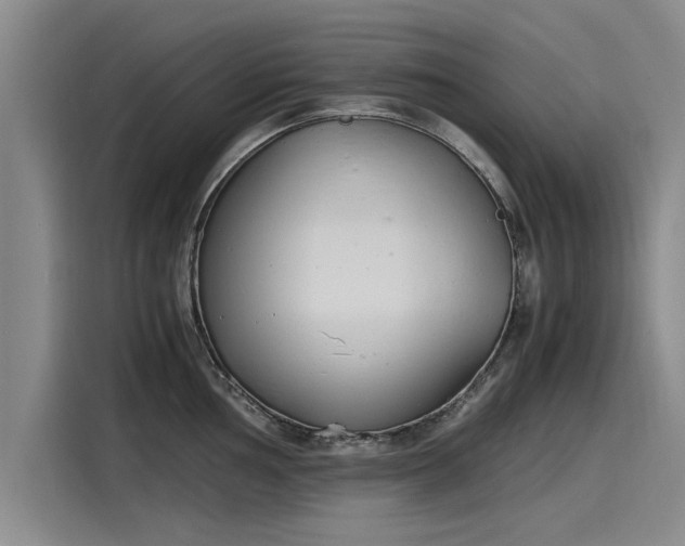 X0000116141002200911301517