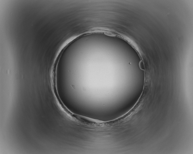 X0000116141003200911301517