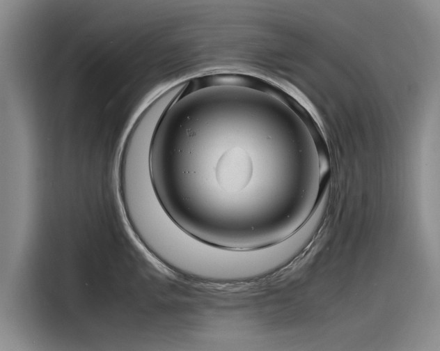 X0000116141005200911301517