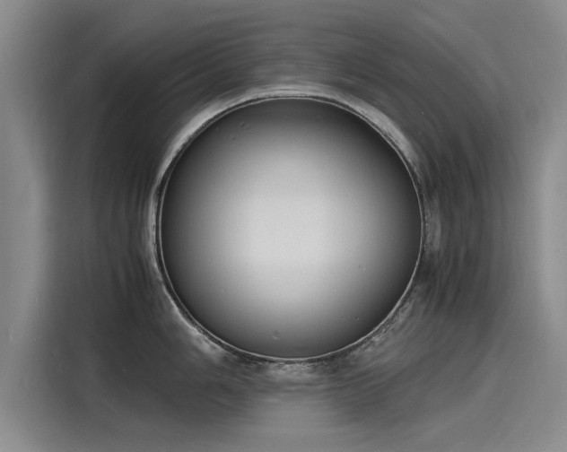 X0000116141006200911301517
