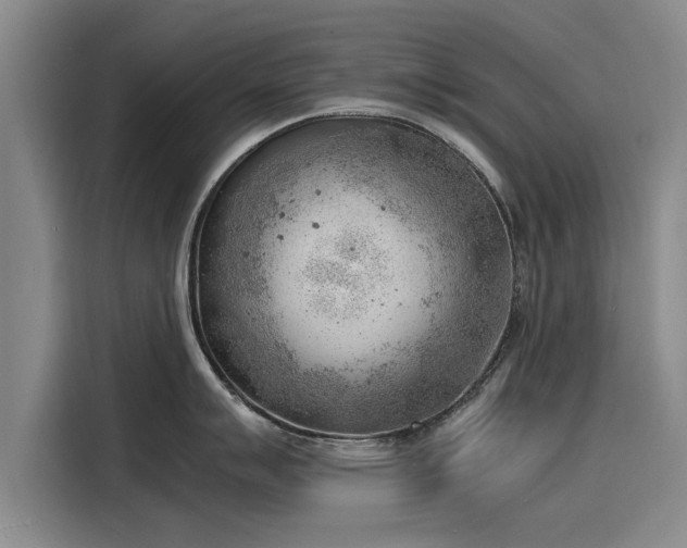 X0000116141007200911301517