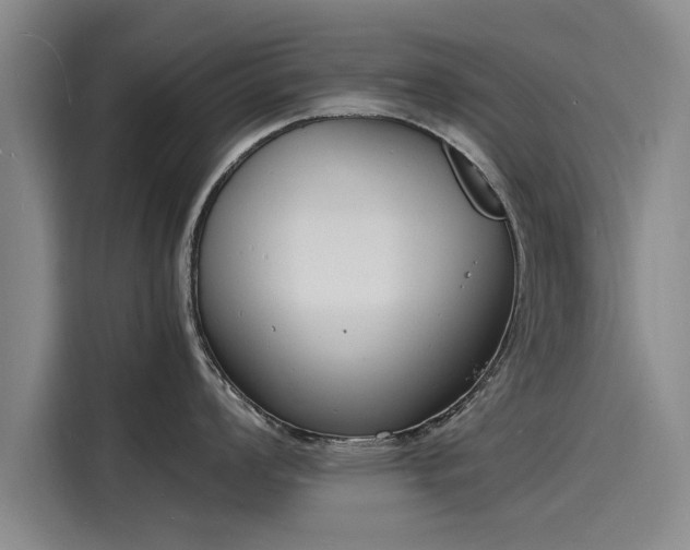 X0000116141008200911301517