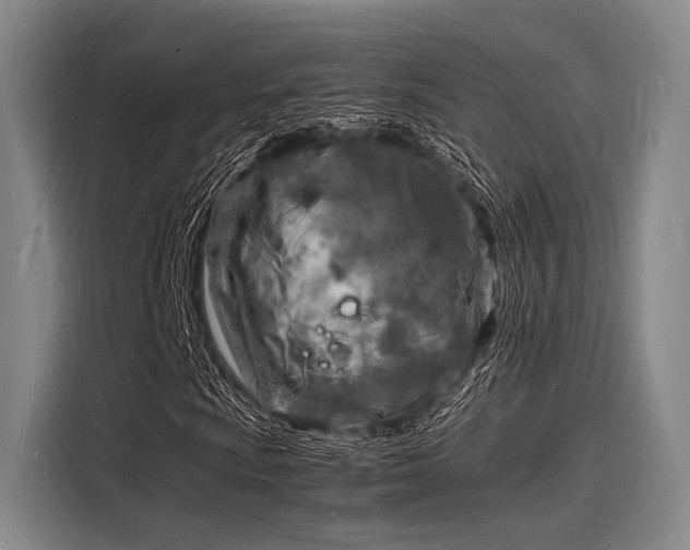 X0000116141009200911301516