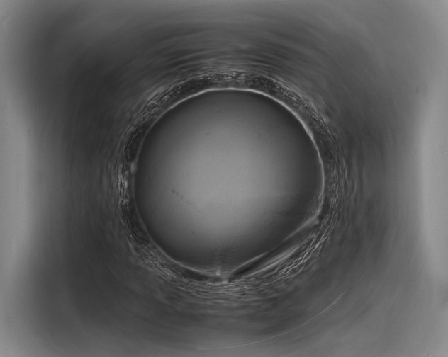 X0000116141013200911301516