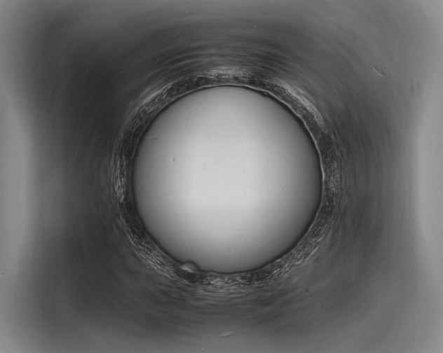 X0000116141015200911301516