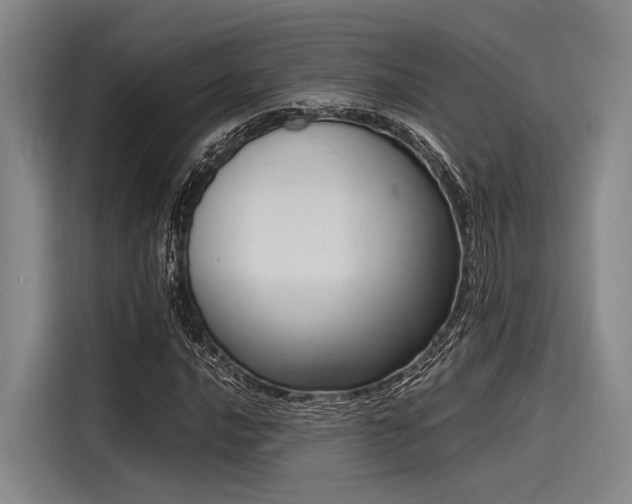 X0000116141016200911301516